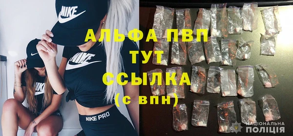 хмурый Богородицк