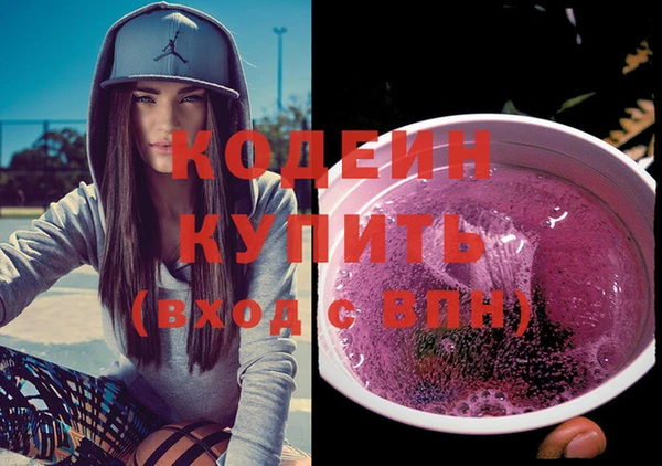 хмурый Богородицк