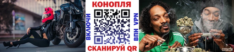 площадка Telegram Биробиджан Конопля гибрид